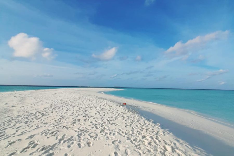 Sunset Fishing & BBQ Experience